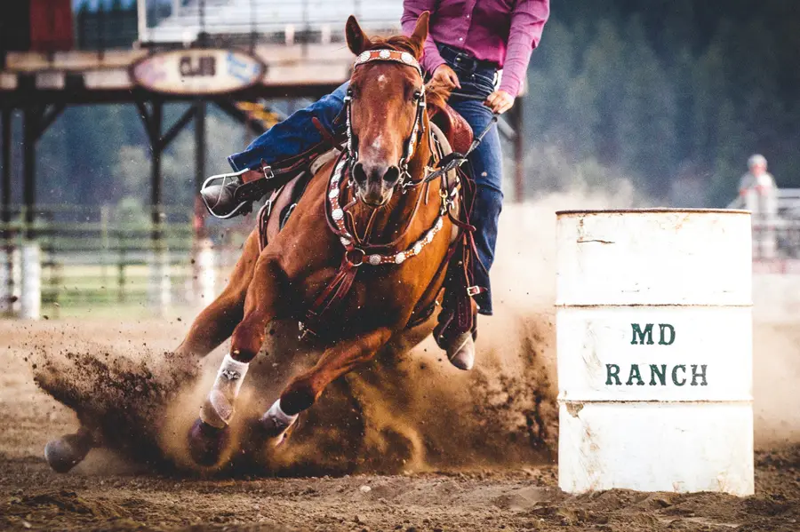 Barrel racer rounding an MD Ranch barrel in a cloud of arena dust