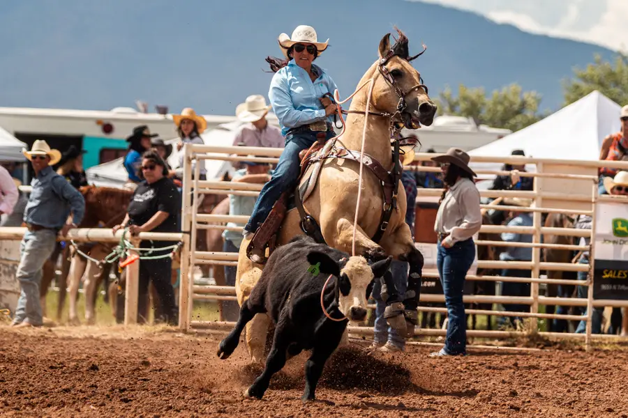 Cowgirl on a buckskin horse roping a calf in a rodeo arena with mountains in the background
